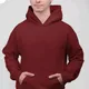 Maroon__ASHKART